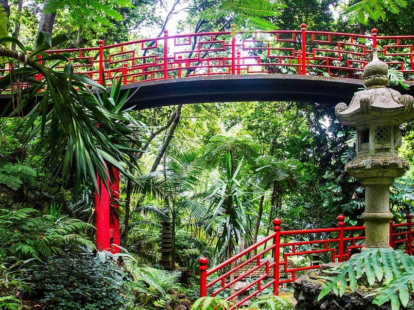 Jardín Botánico de Madeira una de las mejores cosas que ver y hacer
