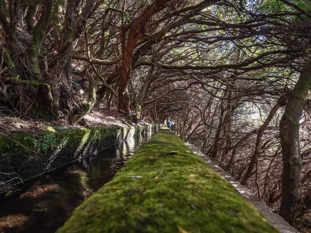 Levada das 25 Fontes una de las rutas en Madeira