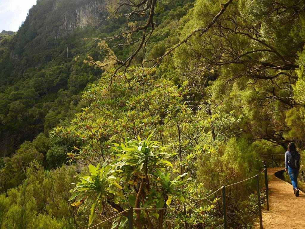Levada das 25 Fontes