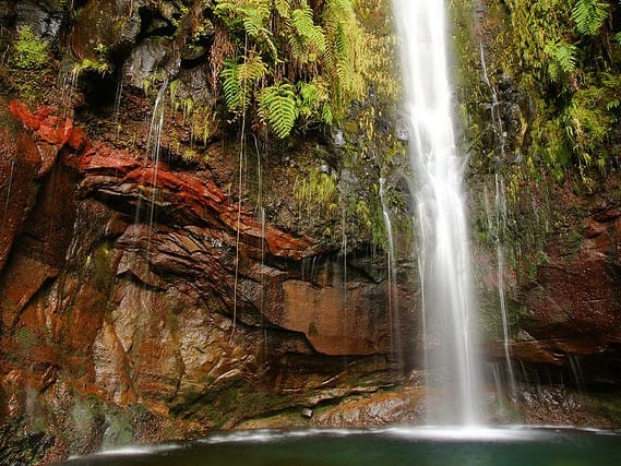 Levada das 25 Fontes