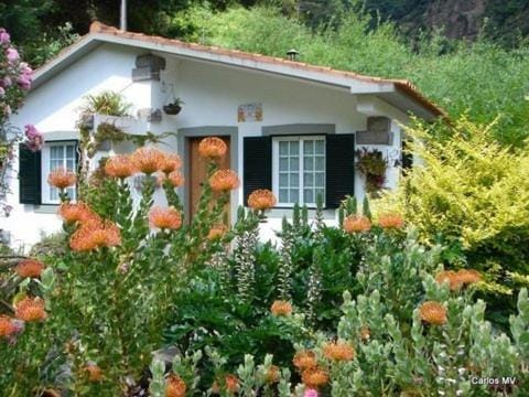 Moinho do Comandante, uno de los mejores alojamientos rurales en Madeira