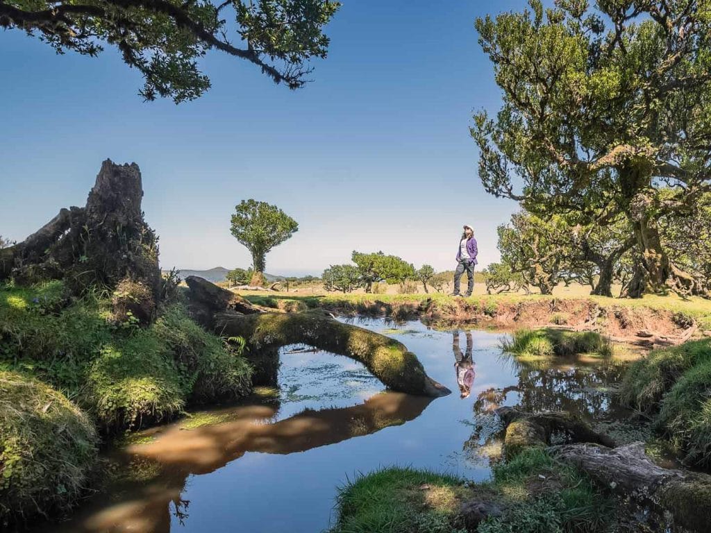 Vereda do Fanal en madeira